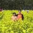 cocopu-