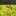 cocopu- cocopu-