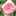 ののこゆり ののこゆり