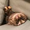 るいこすたりあん