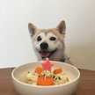 ︎食いしん坊