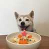 ︎食いしん坊