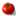 t_tomato t_tomato