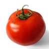 t_tomato