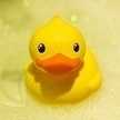 LINASUN