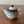 Rooibos