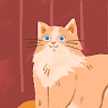 ねこ