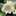 A6312pan A6312pan
