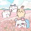もかにゃん