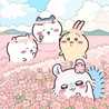 もかにゃん