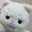 いもこ