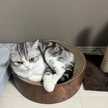 栄養/看護師ねこぬ