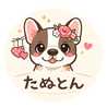 たぬとん