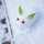 Yuki Yuki