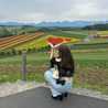 きーたんのお料理記録
