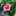 クックYYV31J☆ クックYYV31J☆