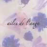 aileslange