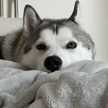 Runa