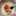 LeChatChat