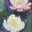 ずごん