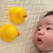 アヒル隊長