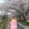 ポルコ・パンターニ