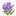 sumire sumire