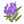 sumire