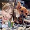 柴犬のお顔☆