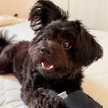 gonchi0709