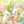 うさめろ