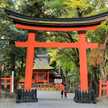 MashiroM