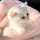 ゆーふぉちゃん