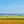 chie