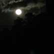 雨夜の月
