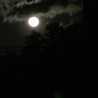 雨夜の月