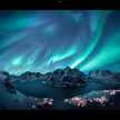 キノピオ