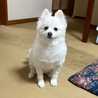 あお
