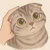 miiちゃん
