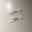 xxamn