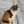 nekomarche