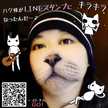 西の猫River
