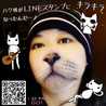 西の猫River