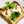 クックriechan