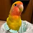 ゆちゃちゃ